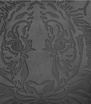 Pochette THE EYE OF THE TIGER noir